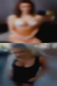 Sarasota horny whores prostitutes wife.